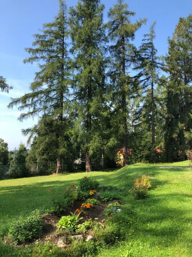Vila Horec, Vysne Hagy Vysoké Tatry Eksteriør bilde