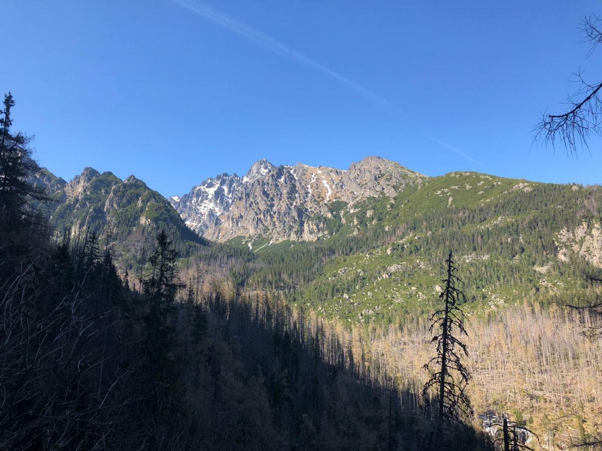 Vila Horec, Vysne Hagy Vysoké Tatry Eksteriør bilde