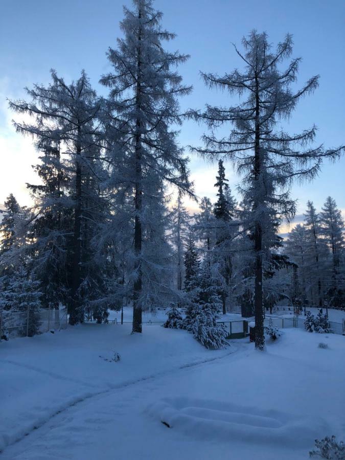 Vila Horec, Vysne Hagy Vysoké Tatry Eksteriør bilde